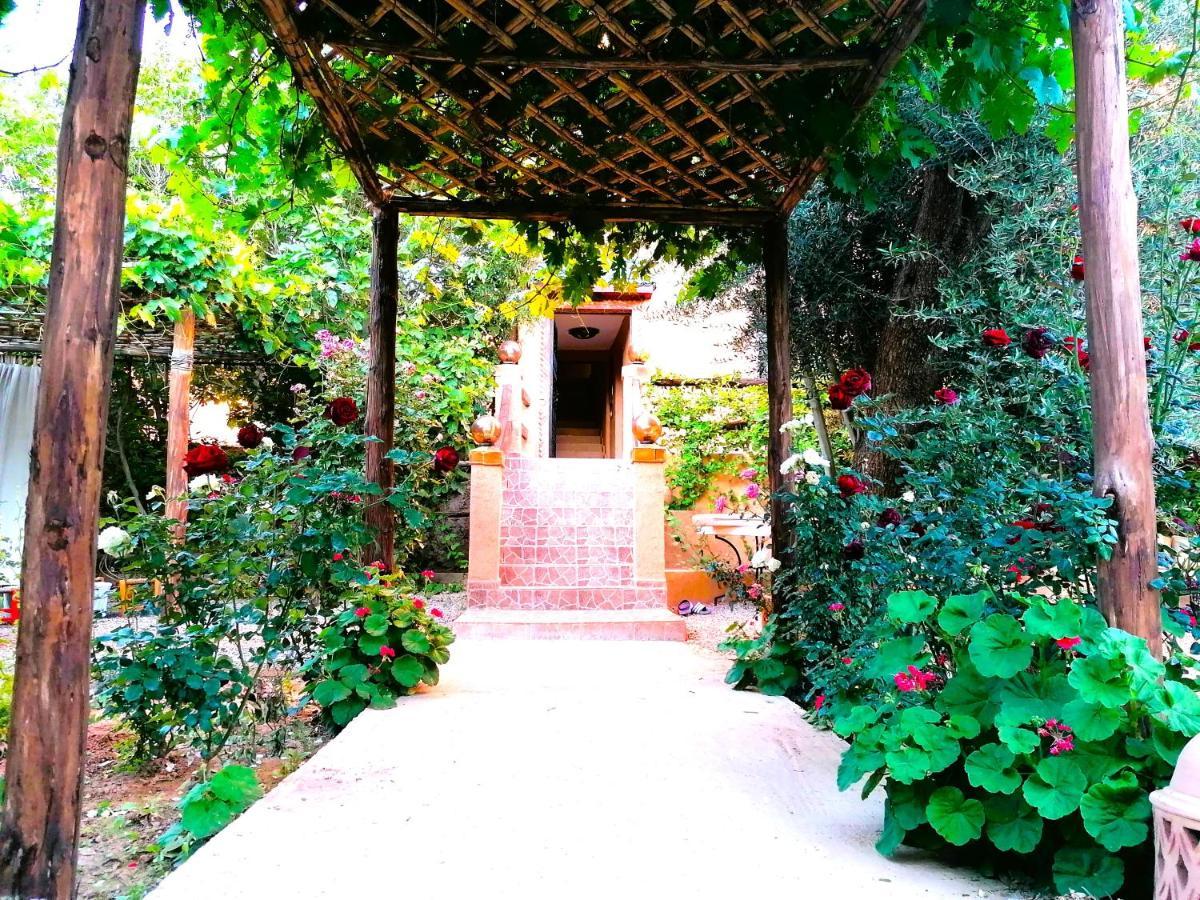 Ibrahene Riad Tazawa מראה חיצוני תמונה